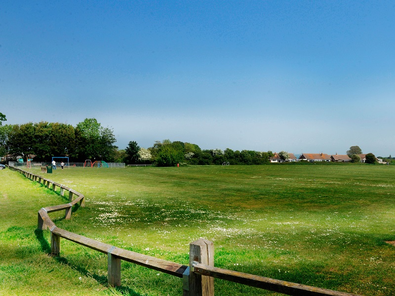 Cricket club bowled over by plans for new pavilion