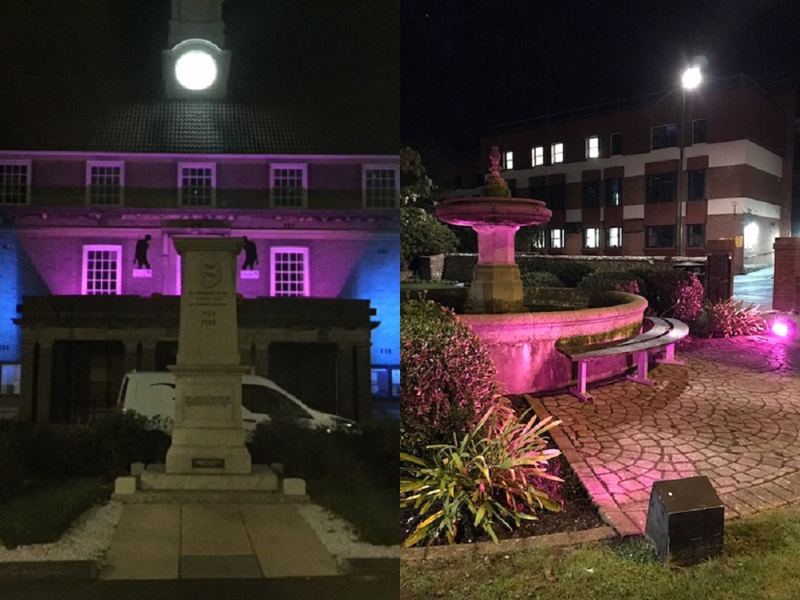 Arun District Council is turning pink and blue for Baby Loss Awareness Week 2019