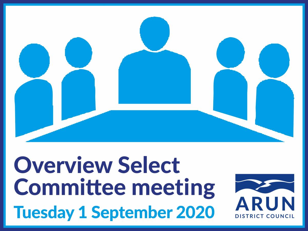 Overview Select Committee meeting 1 September